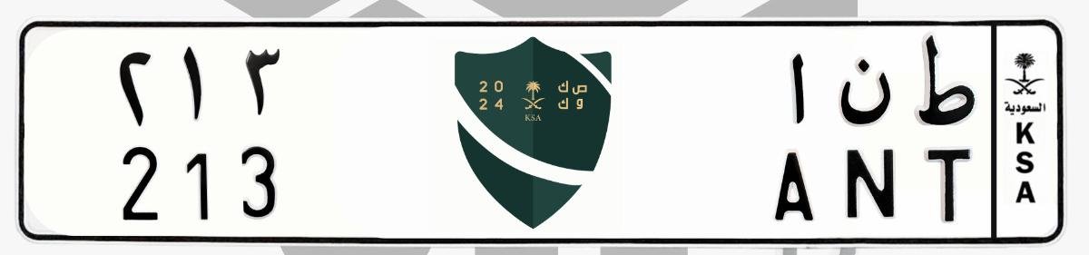 لوحة ط ن ا 213